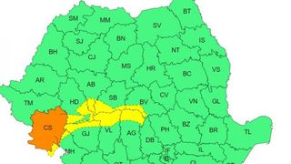 cod galben, anunt anm, cod portocaliu