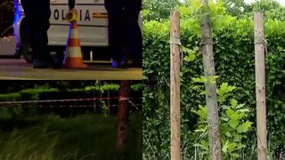 Cum s-ar fi petrecut, de fapt, odioasa crimă din Parcul Crângași? Detalii cutremurătoare aduse la suprafață de anchetatori