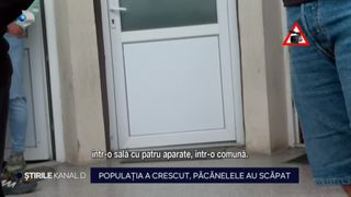 VIDEO Populația a crescut, păcănelele au scăpat: &rdquo;Din asta trăim, cum ar veni&rdquo;