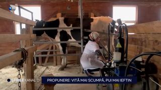VIDEO Propunere- Vită mai scumpă, pui mai ieftin: ”E o măsură nepregătită”