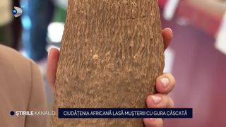 VIDEO Ciudățenia africană lasă mușterii cu gura căscată: &rdquo;Dacă ajugem să m&acirc;ncăm asemenea cartofi...&rdquo;