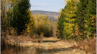 Regimul de ploi va fi ușor deficitar &icirc;ndeosebi &icirc;n sudul și sudestul teritoriului și apropiat de cel specific pentru această perioadă &icirc;n restul țării.