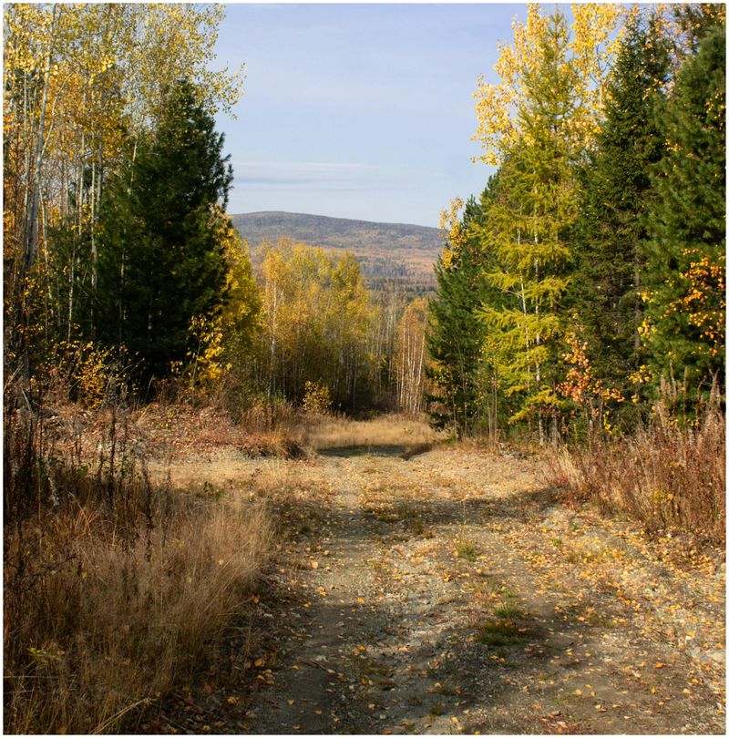 Regimul de ploi va fi ușor deficitar îndeosebi în sudul și sudestul teritoriului și apropiat de cel specific pentru această perioadă în restul țării.