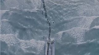 nava scufundata sf gheorghe