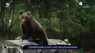 VIDEO Tomberoanele anti-urs vin și &icirc;n Rom&acirc;nia. Au fost amplasate &icirc;n Băile Tușnad