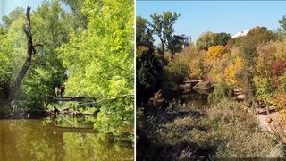 VIDEO Oază de relaxare în mijlocul Capitalei. Plimbare în natură fără să ieși din București