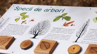 parcul sticlariei, parc capitala, parcuri bucuresti 