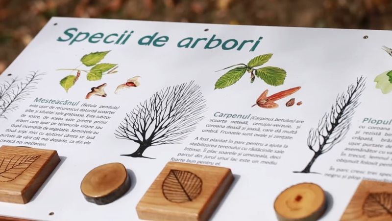 parcul sticlariei, parc capitala, parcuri bucuresti 