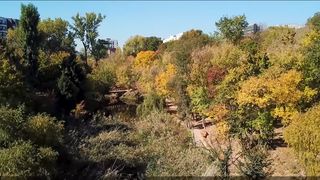 parcul sticlariei, parc capitala, parcuri bucuresti 