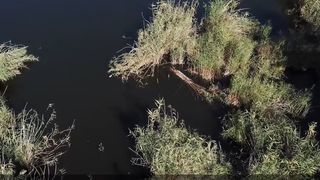 parcul sticlariei, parc capitala, parcuri bucuresti 