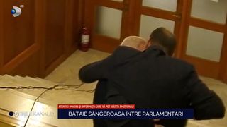  Deputații Florin Roman și Dan Vâlceanu s-au luat la bătaie pe holurile Casei Poporului