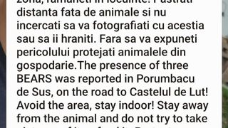 ursoaica cu pui, RO-alert, SMURD