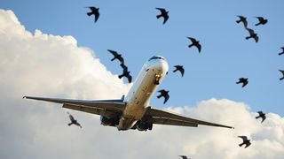 Problemă la unul dintre motoare pentru avionul TAROM