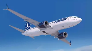 Un avion TAROM care se &icirc;ndrepta spre București a lovit un grup de păsări 