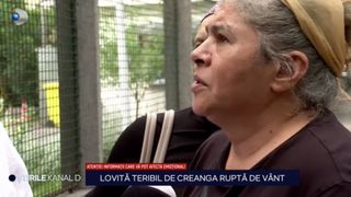 tanara lovita, parc bazilescu, creanga parc 