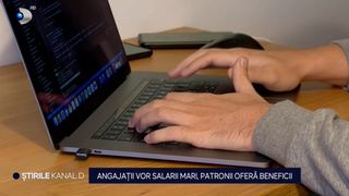 bani, bonuri de masa, tichete de vacanta, beneficii job 