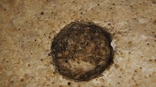 Magia egipteană, folosită la tratarea bolilor