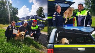 VIDEO Dixi, un câine pierdut în 2022, a fost găsit acum de pompierii din Caraș. Întâlnirea emoționantă cu stăpânul care l-a căutat cu disperare