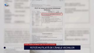 fetita muscata caine, caine agresiv, sfasiata caine 