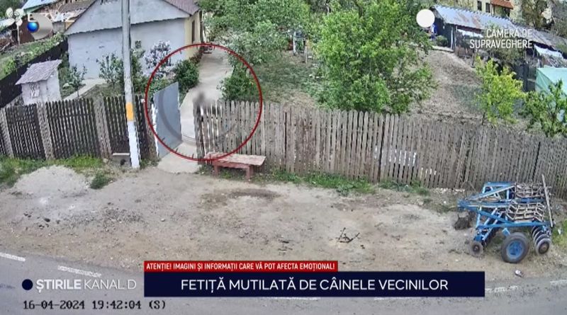 fetita muscata caine, caine agresiv, sfasiata caine 