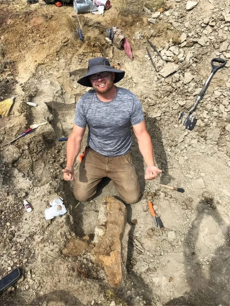 Paleontologii cer păstrarea "comorii" într-un muzeu