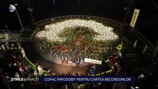 VIDEO Copac împodobit pentru Cartea Recordurilor, din 300 de lămpi solare. Scopul este unul profund