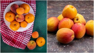 C&acirc;nd apar caisele rom&acirc;nești &icirc;n piețe?