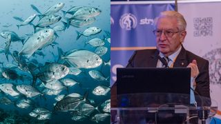 Tipul de pește care face minuni pentru sănătate! Medicul Vlad Ciurea &icirc;ți spune ce beneficii are asupra organismului