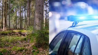 Ireal unde a fost găsită o femeie, după ce a fost dată dispărută de iubit. A fost căutată ore în șir de autorități