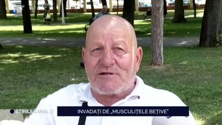 VIDEO Invadați de „musculițele bețive”. Bucureștenii se tem să mai iasă din casă: "Se așează pe tine și te atacă"