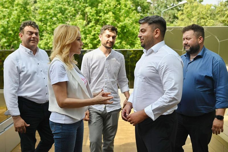 gabriela firea, alegeri 2024, adrian vigheciu