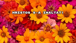 Mesaje de Înălțarea Domnului