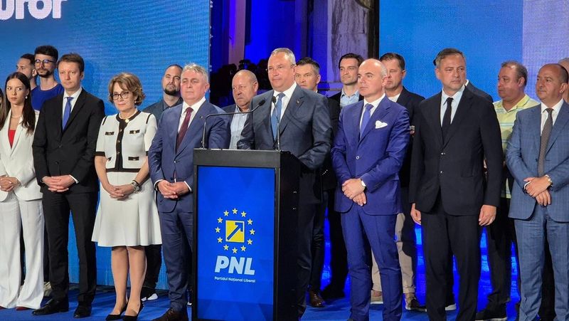 rares bogdan, pnl, alegeri 2024 