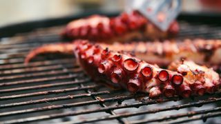 Cât costă o porție de caracatiță la grătar la Mamaia. "Fraier este cine dă, nu cine cere"