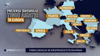 VIDEO Febra dengue se răspândește din ce în ce mai mult și în România