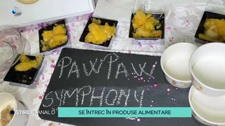 VIDEO Se întrec în produse alimentare! Studenții români creează preparate și combinații inedite