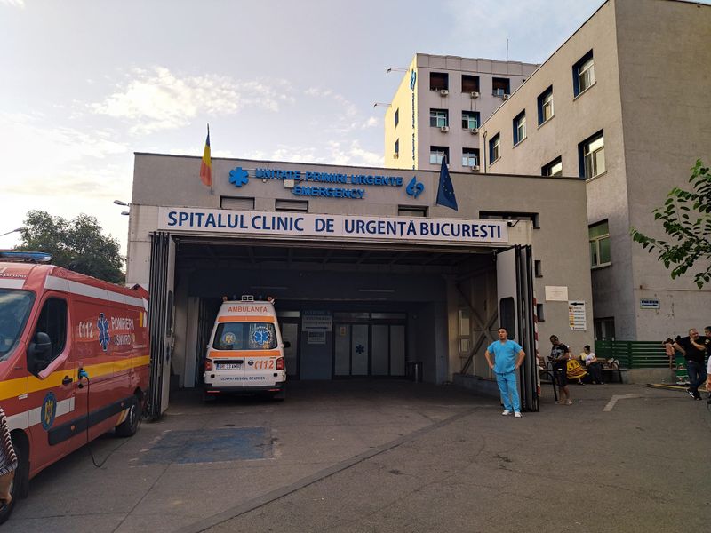 diana sosoaca, scandal, voturi, alegeri 2024 