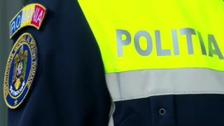 pui pisica, protectia animalelor, amenda 