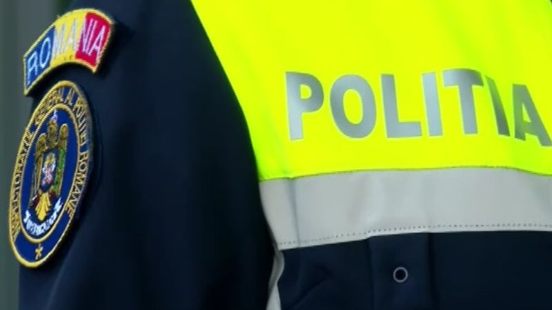 pui pisica, protectia animalelor, amenda 