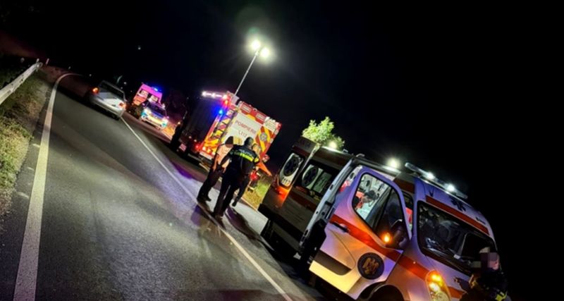 accident dambovita, sofer mort, barbati raniti 