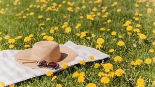 Solstițiul de vară din 2024