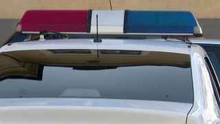 tentativca rapire, satu mare, fata rapita, caz socant