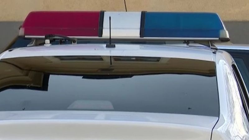 tentativca rapire, satu mare, fata rapita, caz socant