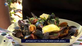 VIDEO „Intoxicați” cu presupuneri și bâlbâieli! Sunt fructele de mare din România periculoase sau nu?