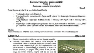 Subiecte competente digitale BAC 2024 - model