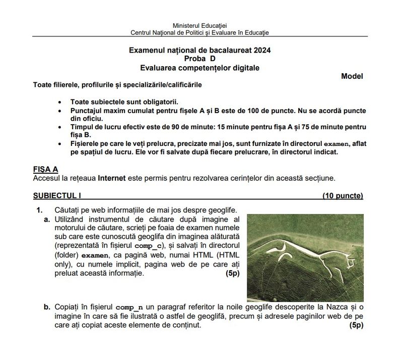 Subiecte competente digitale BAC 2024 - model