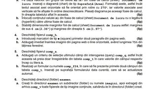 Subiecte competente digitale BAC 2024 - model