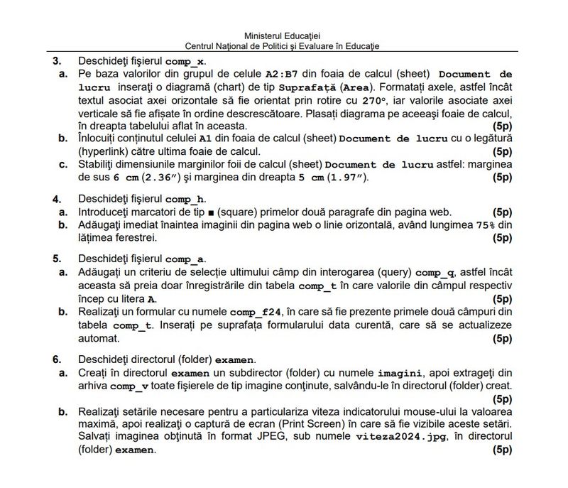 Subiecte competente digitale BAC 2024 - model