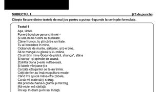 Model subiecte Romana Evaluare Nationala 2024 -pag 2