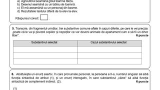 Model subiecte Romana Evaluare Nationala 2024 -pag 7